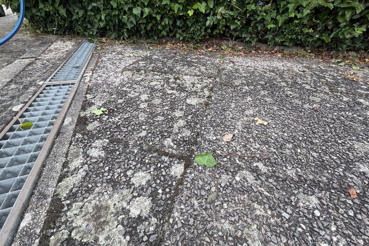 Stark vermooste Pflasterfläche vorher